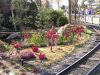 Lego-Flamingos